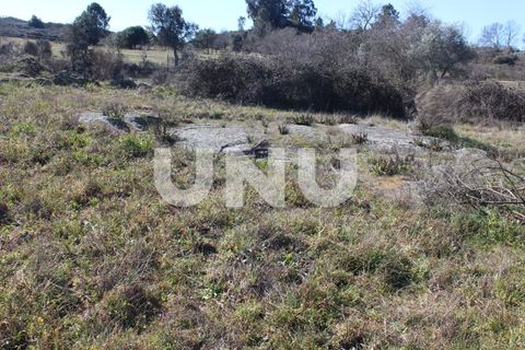 Farm i A do Bispo, Castelo Branco, A do Bispo - € 49.350 | Ref: UNU.I.1782.12555 - foto 19