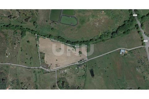 Farm i A do Bispo, Castelo Branco, A do Bispo - € 49.350 | Ref: UNU.I.1782.12555 - foto 22