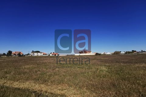 Helårsgrund i Alpiarca, Santarem, Alpiarca - € 98.000 | Ref: TER4031 - foto 2
