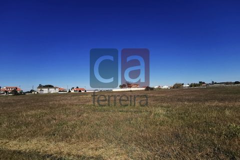 Helårsgrund i Alpiarca, Santarem, Alpiarca - € 98.000 | Ref: TER4031 - foto 3