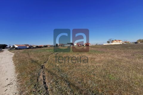 Helårsgrund i Alpiarca, Santarem, Alpiarca - € 98.000 | Ref: TER4031 - foto 5