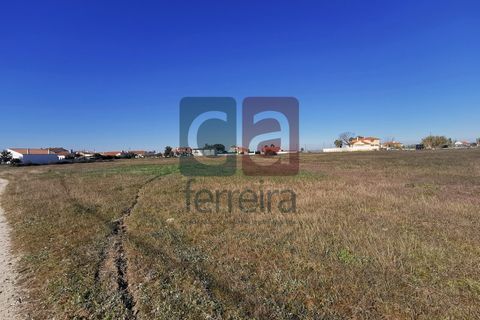 Helårsgrund i Alpiarca, Santarem, Alpiarca - € 98.000 | Ref: TER4031 - foto 6