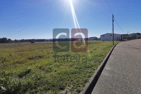 Helårsgrund i Alpiarca, Santarem, Alpiarca - € 98.000 | Ref: TER4031 - foto 7