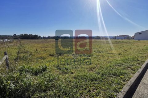Helårsgrund i Alpiarca, Santarem, Alpiarca - € 98.000 | Ref: TER4031 - foto 8
