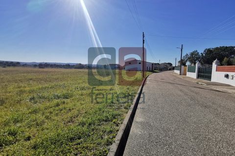 Helårsgrund i Alpiarca, Santarem, Alpiarca - € 98.000 | Ref: TER4031 - foto 9