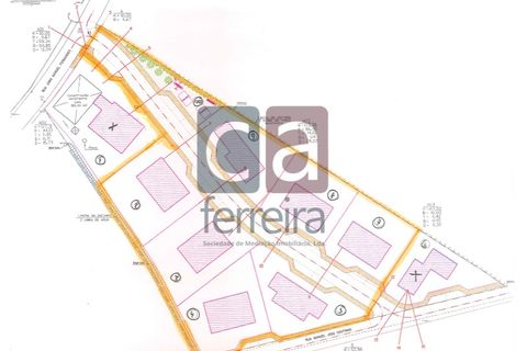 Helårsgrund i Alpiarca, Santarem, Alpiarca - € 98.000 | Ref: TER4031 - foto 10