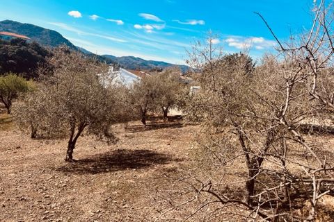 Landejendom i Comares, Malaga, Comares - € 345.000 | Ref: ID3992 - foto 17