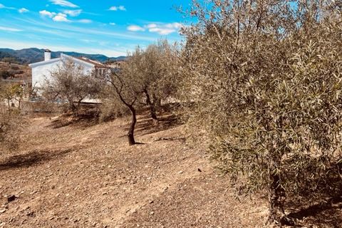 Landejendom i Comares, Malaga, Comares - € 345.000 | Ref: ID3992 - foto 6
