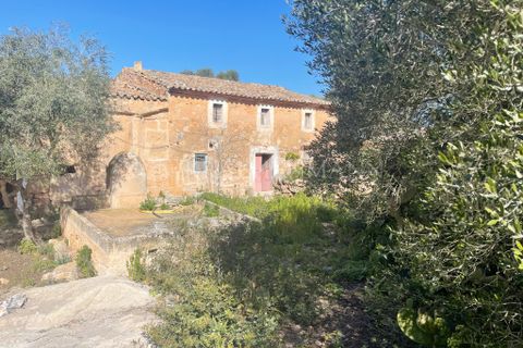 Landejendom i Campos, Mallorca, Campos - € 690.000 | Ref: RC001 - foto 10