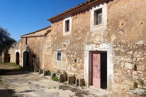 Landejendom i Campos, Mallorca, Campos - € 690.000 | Ref: RC001 - foto 4