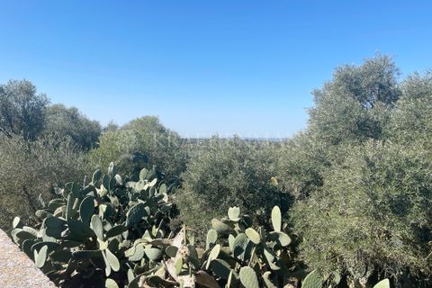 Landejendom i Campos, Mallorca, Campos - € 690.000 | Ref: RC001 - foto 7