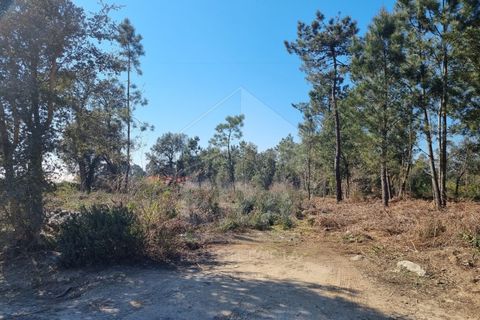 Helårsgrund i Esposende, Braga, Esposende - € 75.000 | Ref: 039230045 - foto 2