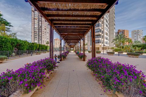 Lejlighed i Benidorm, Alicante, Benidorm - € 315.000 | Ref: F0254/6084 - foto 32