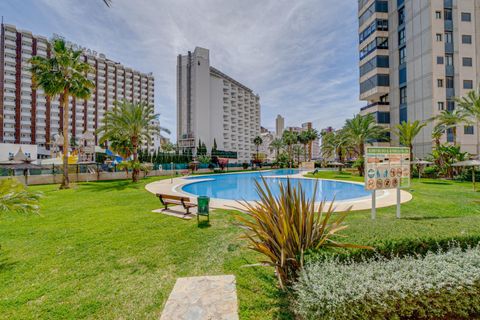 Lejlighed i Benidorm, Alicante, Benidorm - € 315.000 | Ref: F0254/6084 - foto 41