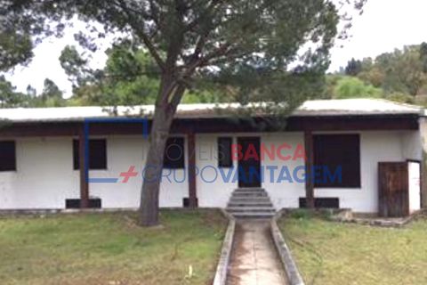 Erhvervsejendom i Abrantes, Santarem, Abrantes - € 186.500 | Ref: N-23571 - foto 4
