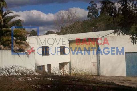 Erhvervsejendom i Abrantes, Santarem, Abrantes - € 186.500 | Ref: N-23571 - foto 9