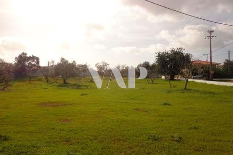 Helårsgrund i Almancil, Faro, Almancil - € 1.500.000 | Ref: VAP112244 - foto 4
