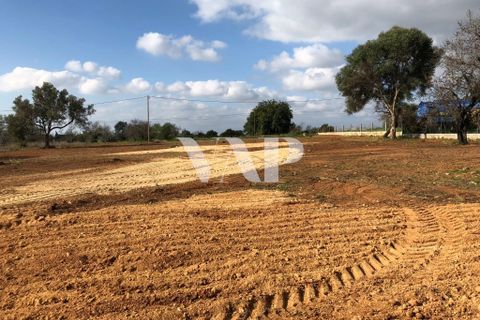 Helårsgrund i Almancil, Faro, Almancil - € 4.000.000 | Ref: VAP112245 - foto 4