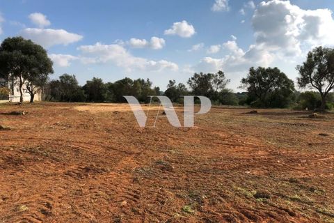 Helårsgrund i Almancil, Faro, Almancil - € 4.000.000 | Ref: VAP112245 - foto 5
