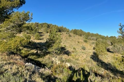 Helårsgrund i Guadalest, Alicante, Guadalest - € 55.000 | Ref: 6381 - foto 2