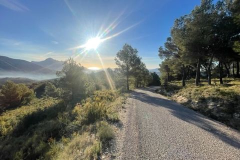 Helårsgrund i Guadalest, Alicante, Guadalest - € 55.000 | Ref: 6381 - foto 7