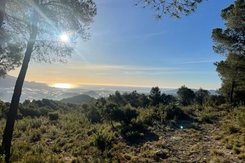 Helårsgrund i Guadalest, Alicante, Guadalest - € 55.000 | Ref: 6381 - foto 10