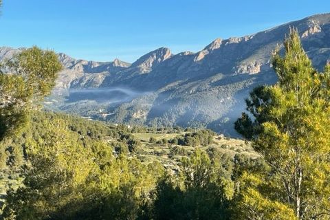 Helårsgrund i Guadalest, Alicante, Guadalest - € 55.000 | Ref: 6381 - foto 11