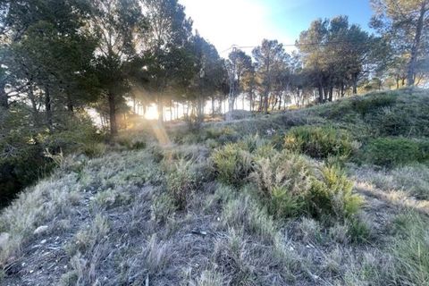 Helårsgrund i Guadalest, Alicante, Guadalest - € 55.000 | Ref: 6381 - foto 12