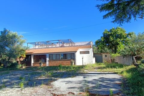 Villa i Pianopoli, Catanzaro, Pianopoli - € 250.000 | Ref: 24 - foto 1