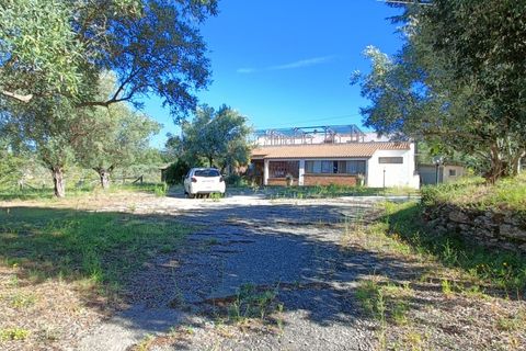 Villa i Pianopoli, Catanzaro, Pianopoli - € 250.000 | Ref: 24 - foto 2