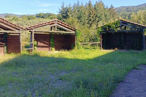 Villa i Pianopoli, Catanzaro, Pianopoli - € 250.000 | Ref: 24 - foto 3