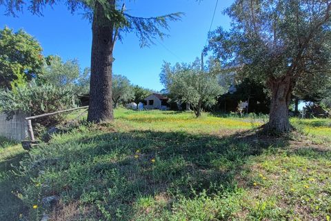 Villa i Pianopoli, Catanzaro, Pianopoli - € 250.000 | Ref: 24 - foto 19