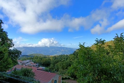 Erhvervsejendom i Conflenti, Catanzaro, Conflenti - € 45.000 | Ref: 30 - foto 8