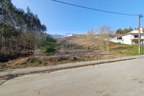 Helårsgrund i Sever do Vouga, Aveiro, Sever do Vouga - € 65.000 | Ref: TER_1450 - foto 4
