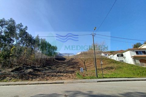 Helårsgrund i Sever do Vouga, Aveiro, Sever do Vouga - € 65.000 | Ref: TER_1450 - foto 5