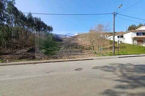 Helårsgrund i Sever do Vouga, Aveiro, Sever do Vouga - € 65.000 | Ref: TER_1450 - foto 8