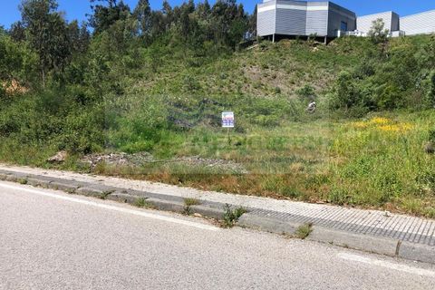 Helårsgrund i Sever do Vouga, Aveiro, Sever do Vouga - € 65.000 | Ref: TER_1450 - foto 2