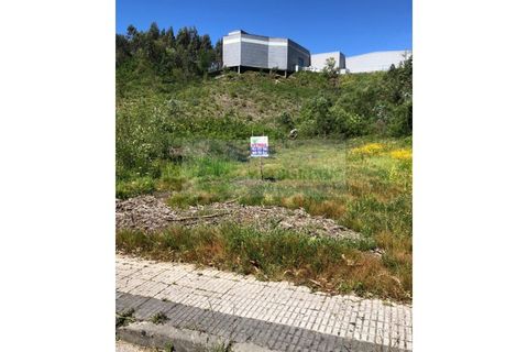Helårsgrund i Sever do Vouga, Aveiro, Sever do Vouga - € 65.000 | Ref: TER_1450 - foto 13
