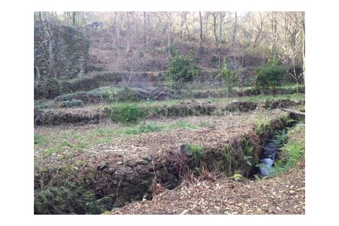 Farm i Sever do Vouga, Aveiro, Sever do Vouga - € 60.000 | Ref: FIN_0025 - foto 2