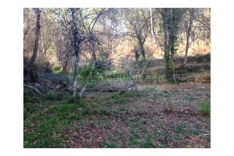 Farm i Sever do Vouga, Aveiro, Sever do Vouga - € 60.000 | Ref: FIN_0025 - foto 3