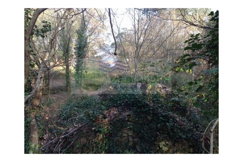 Farm i Sever do Vouga, Aveiro, Sever do Vouga - € 60.000 | Ref: FIN_0025 - foto 7