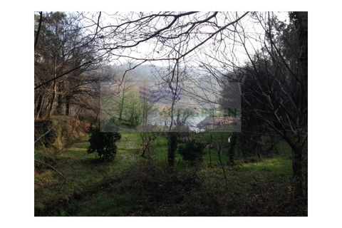 Farm i Sever do Vouga, Aveiro, Sever do Vouga - € 60.000 | Ref: FIN_0025 - foto 8