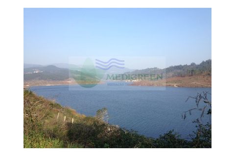 Farm i Sever do Vouga, Aveiro, Sever do Vouga - € 60.000 | Ref: FIN_0025 - foto 10