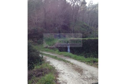 Farm i Sever do Vouga, Aveiro, Sever do Vouga - € 60.000 | Ref: FIN_0025 - foto 11