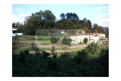 Farm i Sever do Vouga, Aveiro, Sever do Vouga - € 500.000 | Ref: VIL_190 - foto 2