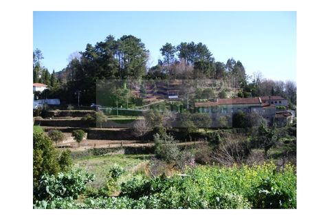 Farm i Sever do Vouga, Aveiro, Sever do Vouga - € 500.000 | Ref: VIL_190 - foto 3