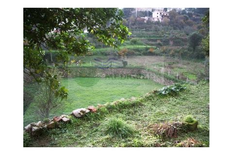 Farm i Sever do Vouga, Aveiro, Sever do Vouga - € 500.000 | Ref: VIL_190 - foto 8