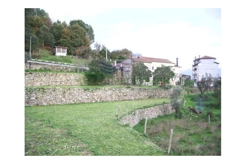Farm i Sever do Vouga, Aveiro, Sever do Vouga - € 500.000 | Ref: VIL_190 - foto 9