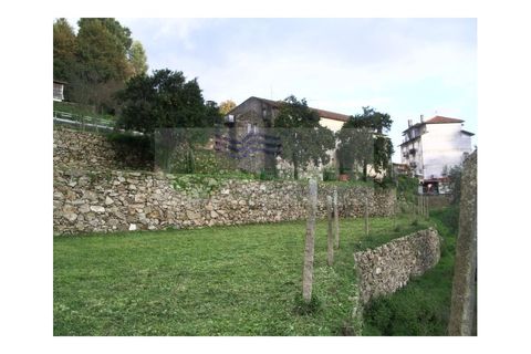 Farm i Sever do Vouga, Aveiro, Sever do Vouga - € 500.000 | Ref: VIL_190 - foto 12
