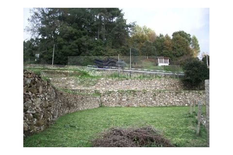 Farm i Sever do Vouga, Aveiro, Sever do Vouga - € 500.000 | Ref: VIL_190 - foto 14
